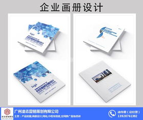 凌志營(yíng)銷策劃 專業(yè)企業(yè)畫(huà)冊(cè)設(shè)計(jì)與軟件開(kāi)發(fā)服務(wù)