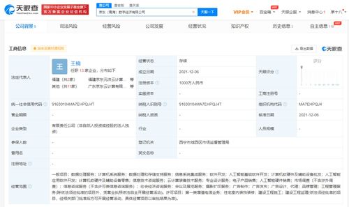 信息系統集成服務 數字時代企業的智能基石
